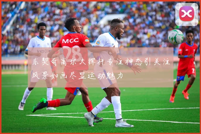 东契奇高尔夫挥杆专注神态引关注风景如画尽显运动魅力